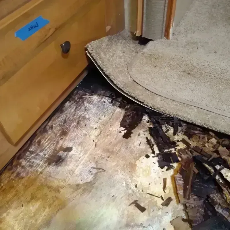 Wood Floor Water Damage in Midway, FL